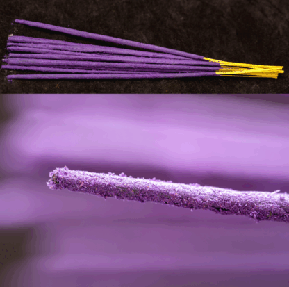 Lavendel